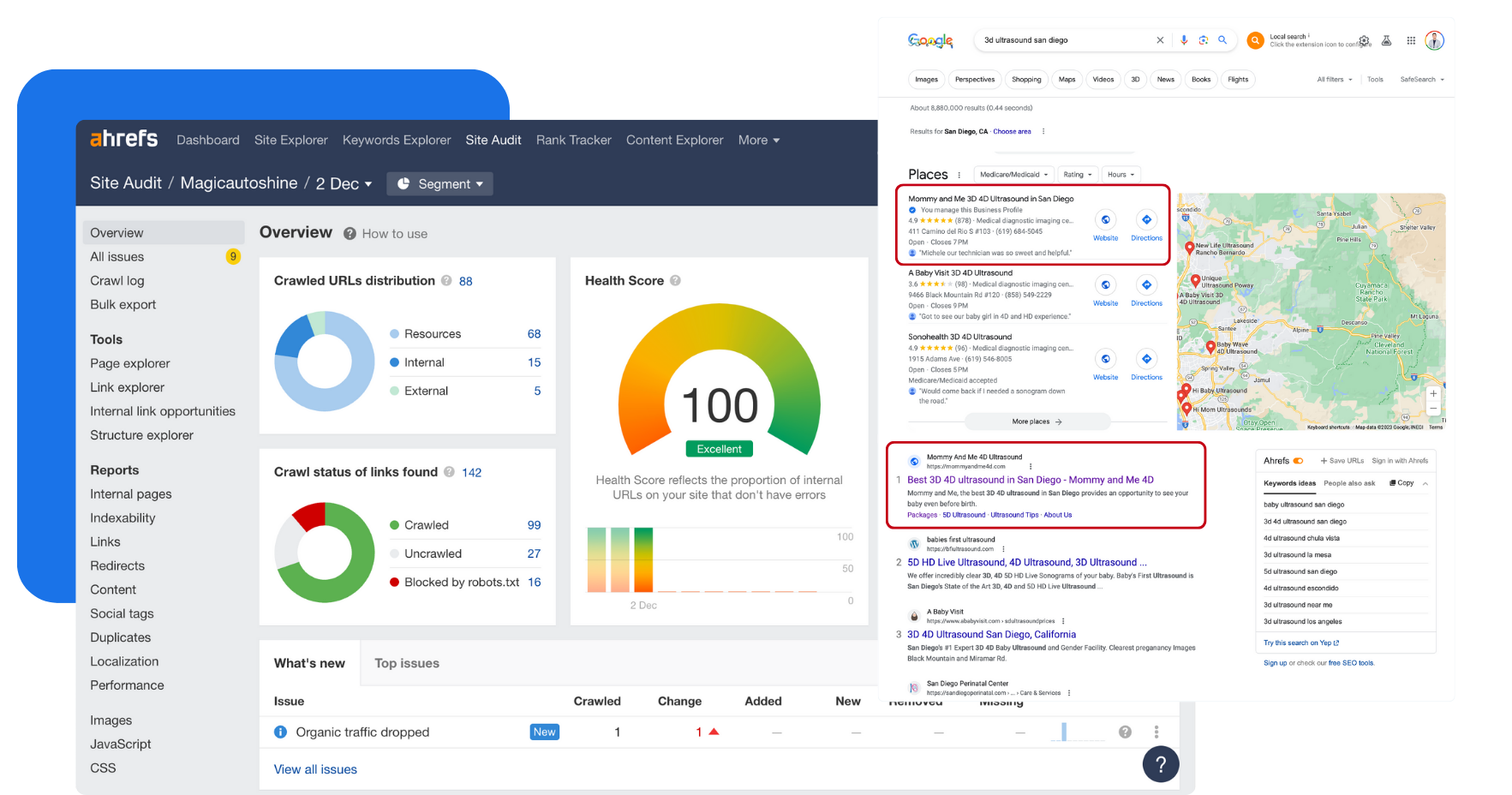 Map Ranking Local SEO case study